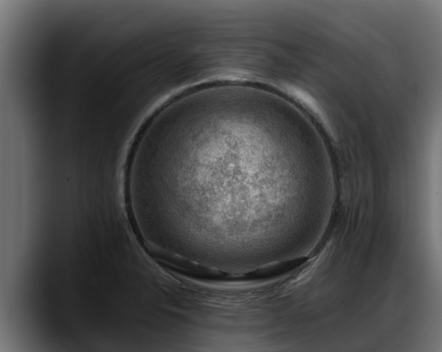 X0000088371326200705291319