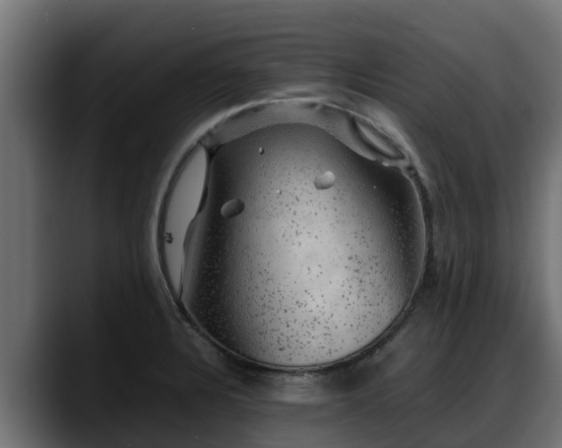 X0000088371328200705291320