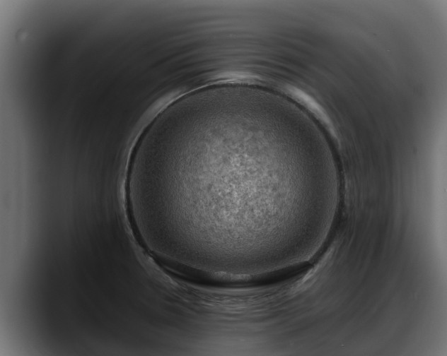 X0000088371330200705291320