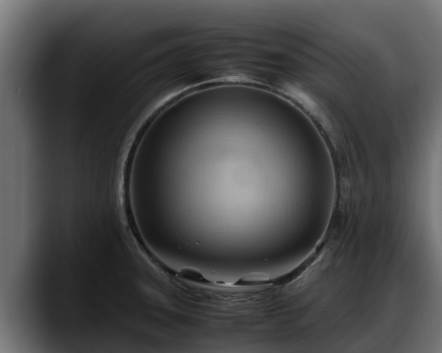 X0000088371331200705291320