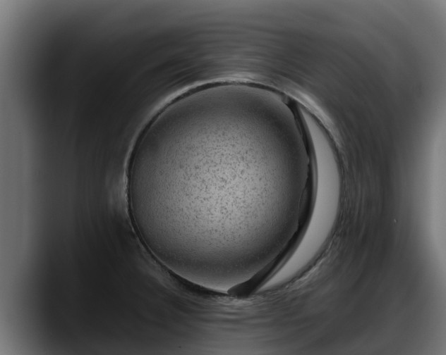 X0000088371332200705291320