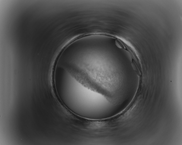 X0000088371333200705291320
