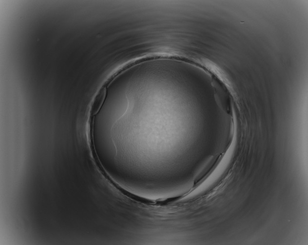 X0000088371334200705291320