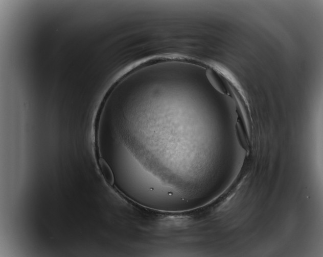 X0000088371335200705291320