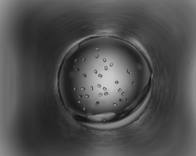 X0000088371336200705291320