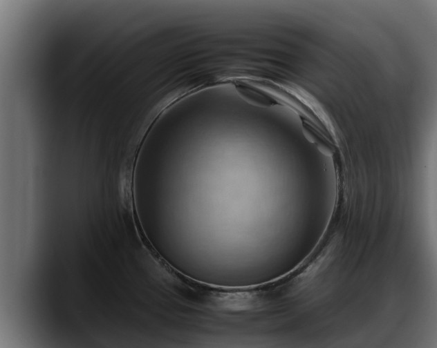 X0000088371337200705291320