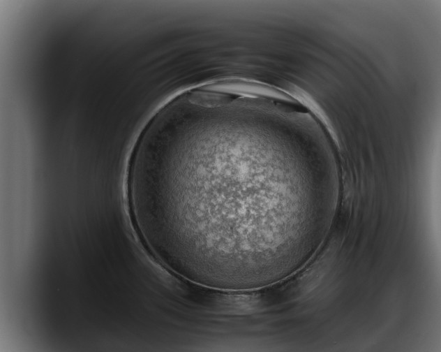 X0000088371339200705291320