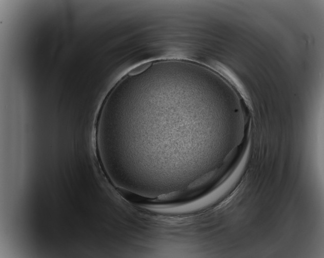 X0000088371340200705291320