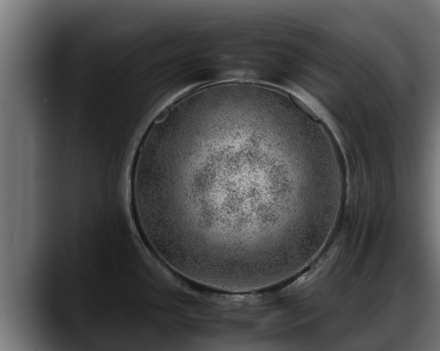 X0000088371341200705291320