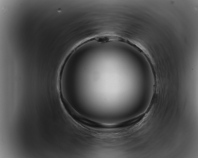 X0000088371342200705291320