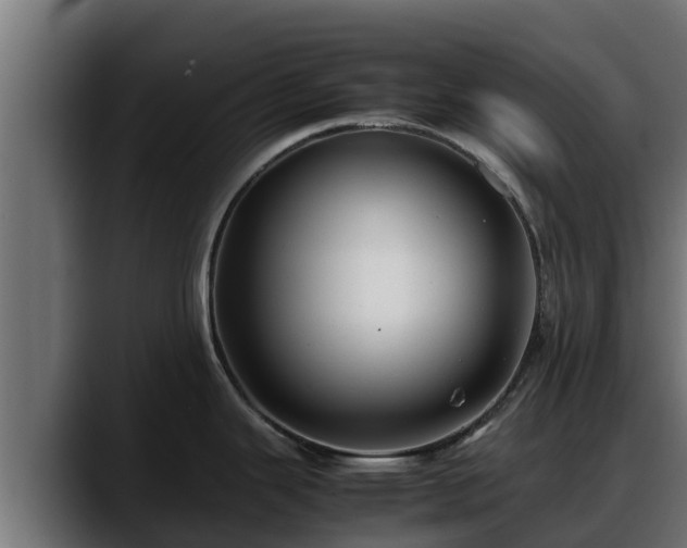 X0000088371343200705291320