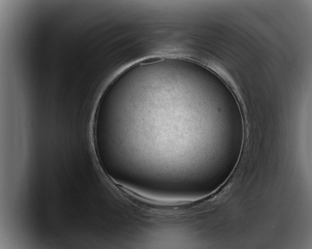 X0000088371344200705291320