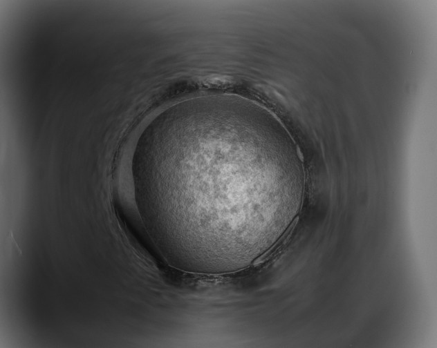 X0000088371345200705291319