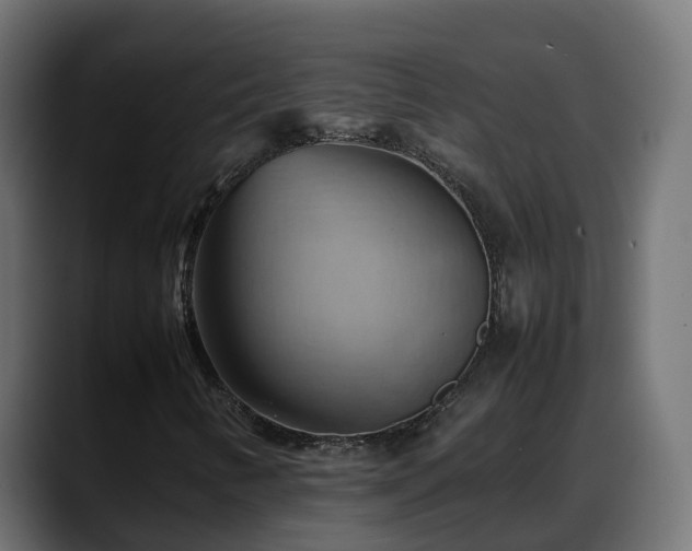 X0000088371346200705291319