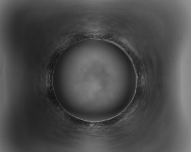 X0000088371350200705291319