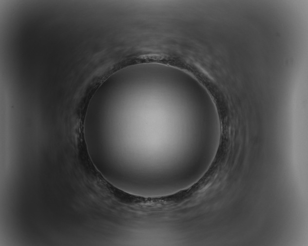 X0000088371351200705291319