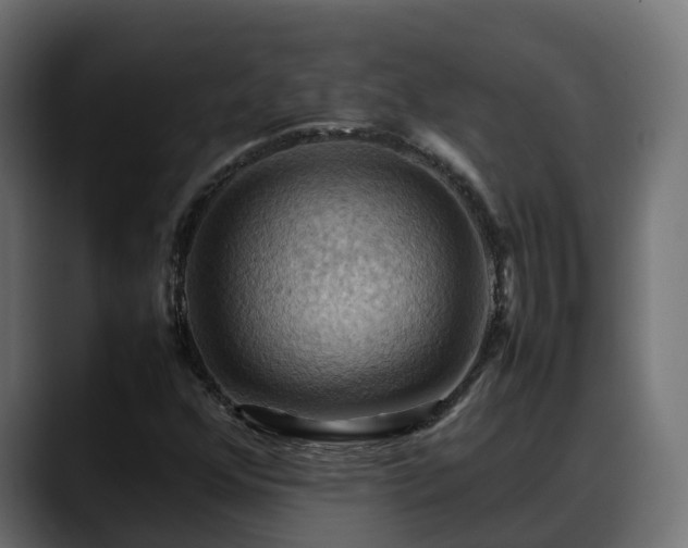 X0000088371352200705291319