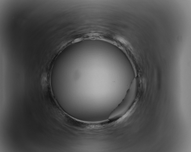 X0000088371353200705291319