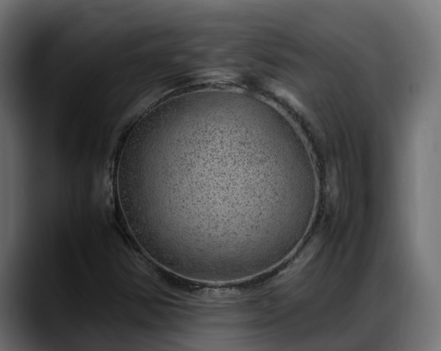 X0000088371354200705291319