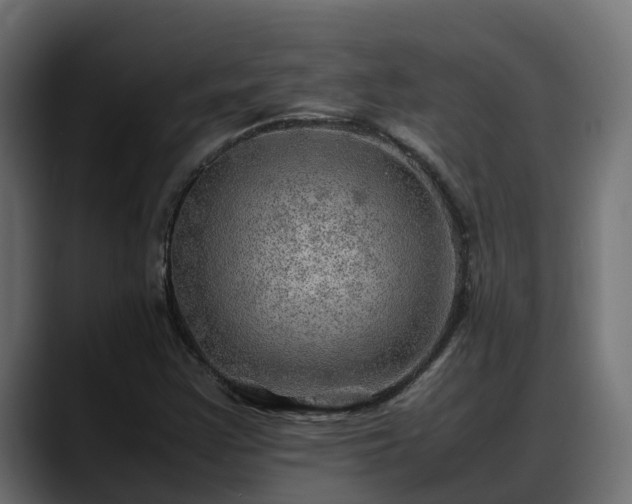 X0000088371355200705291319