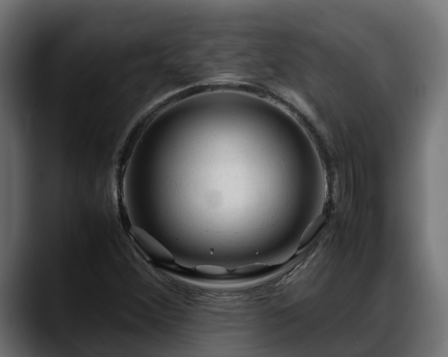 X0000088371356200705291319