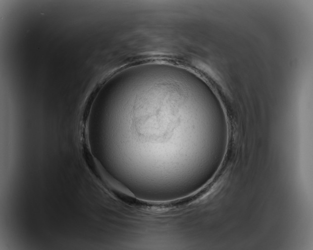 X0000088371357200705291319