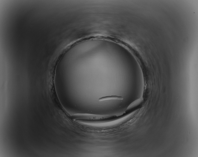 X0000088371359200705291319