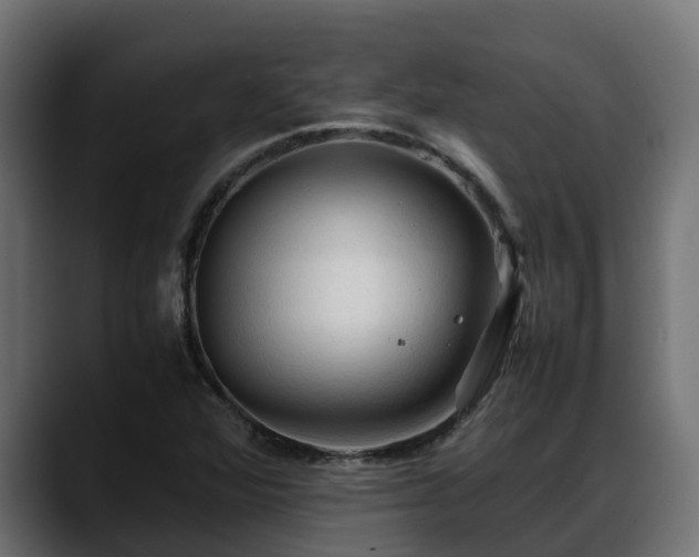 X0000088371360200705291319