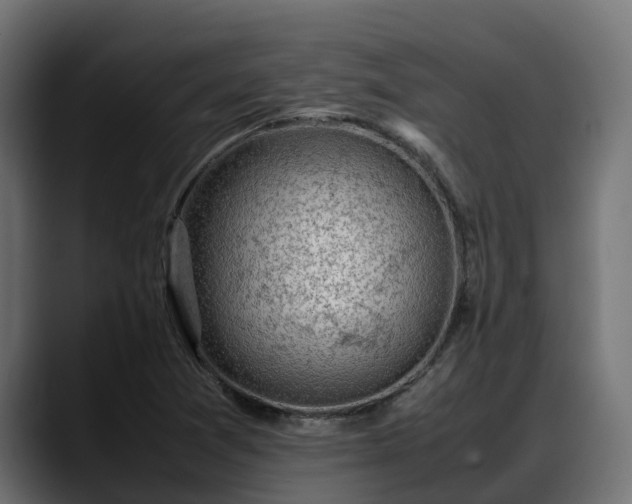 X0000088371361200705291319