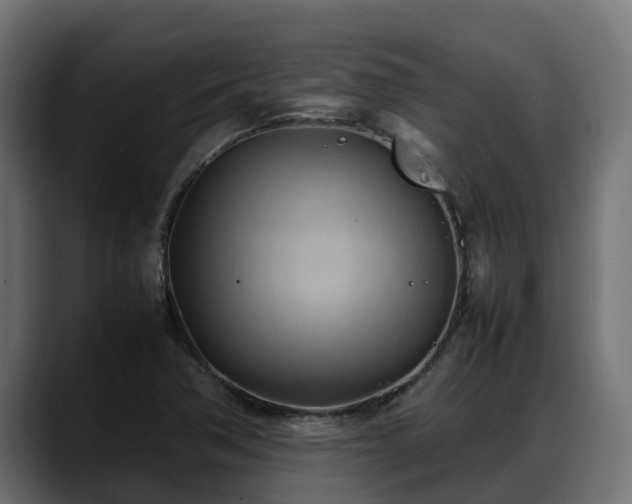 X0000088371362200705291319