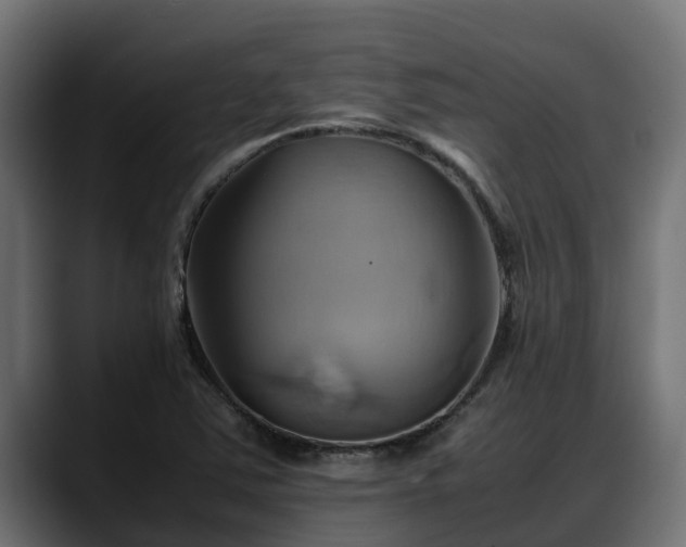 X0000088371363200705291319