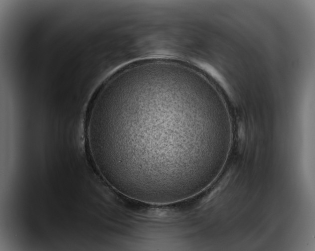 X0000088371364200705291319