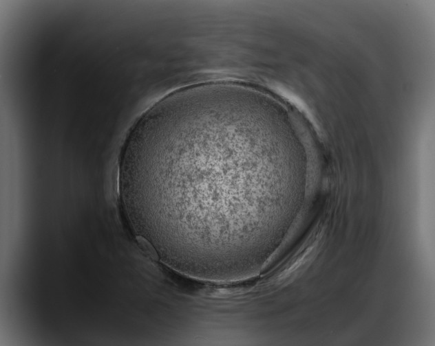 X0000088371365200705291319