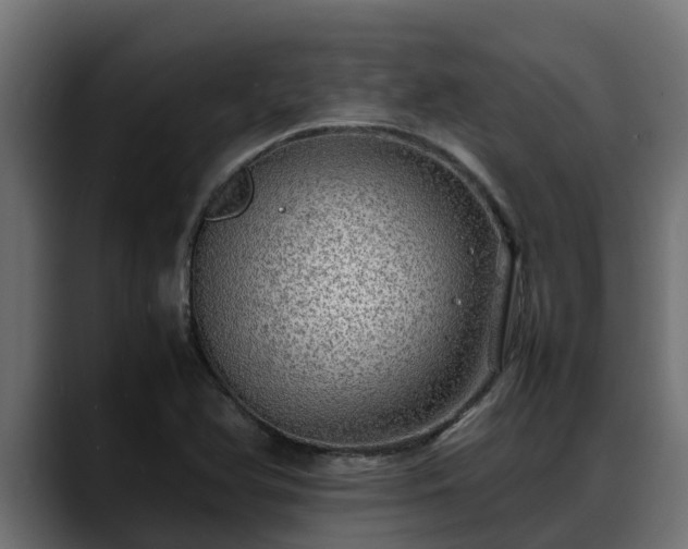 X0000088371366200705291319