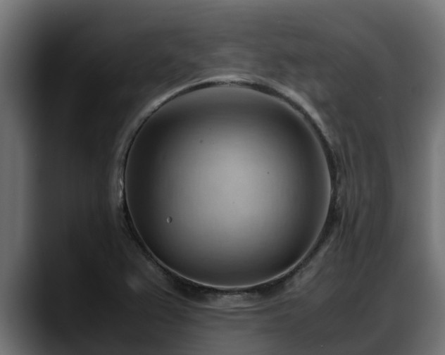 X0000088371367200705291319