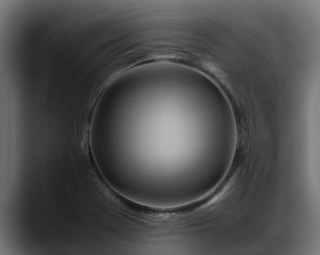 X0000088371369200705291319