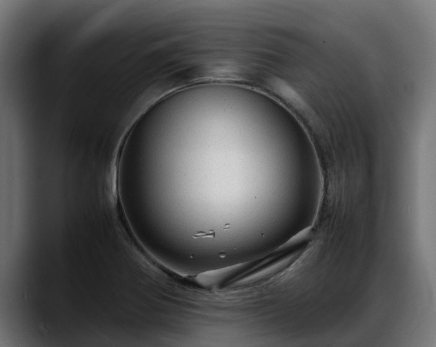 X0000088371370200705291319