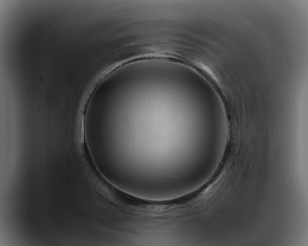 X0000088371371200705291319