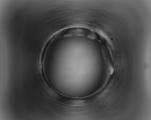 X0000088371372200705291319