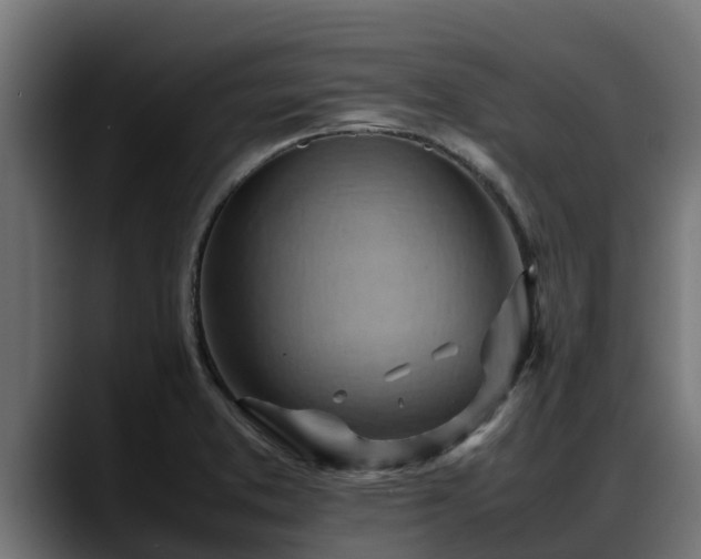 X0000088371373200705291319