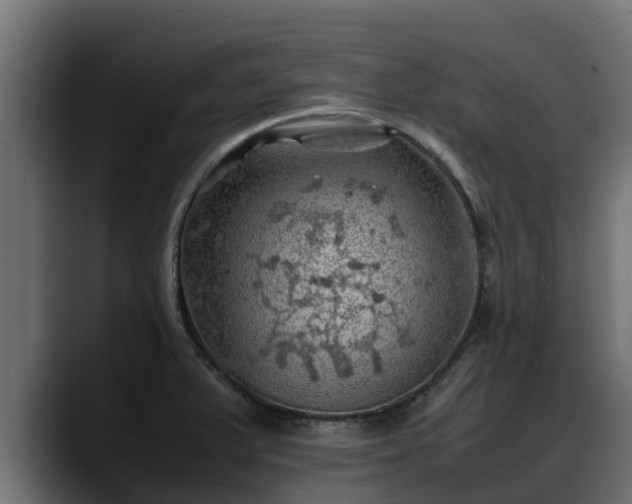 X0000088371375200705291319