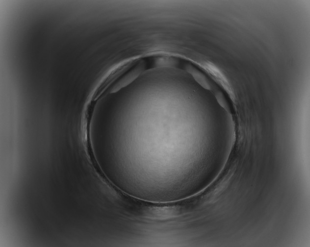 X0000088371376200705291319