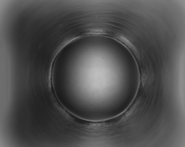X0000088371378200705291319