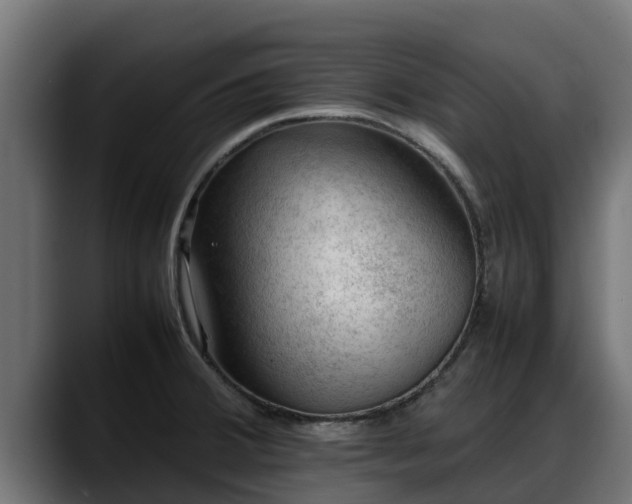 X0000088371380200705291319