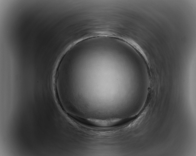 X0000088371381200705291319