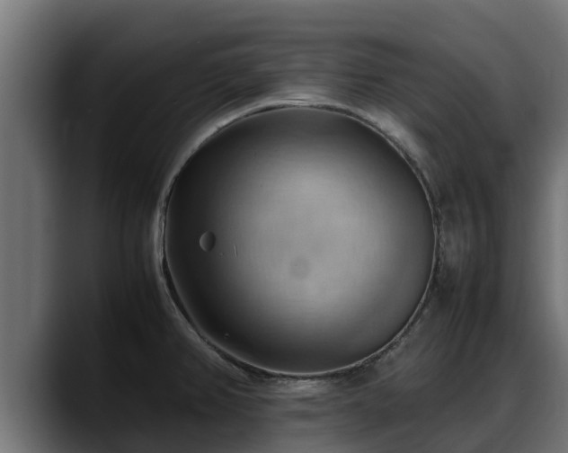 X0000088371382200705291319