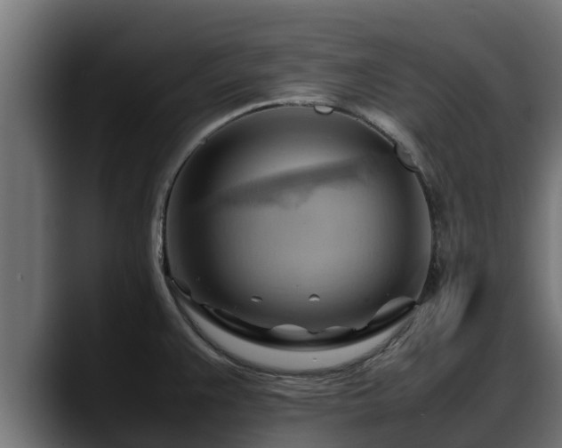 X0000088371383200705291319
