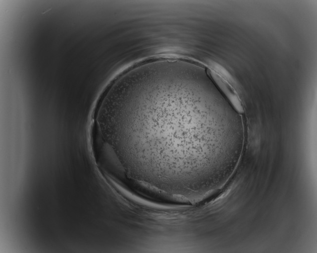 X0000088371384200705291319