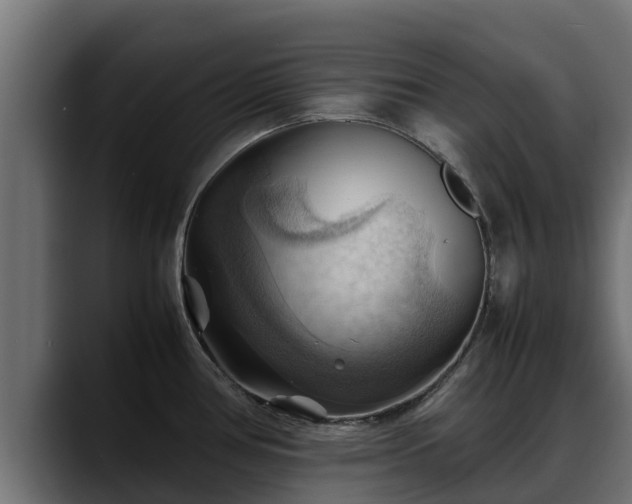 X0000088371386200705291319