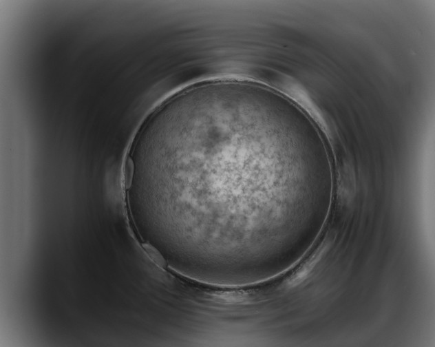 X0000088371388200705291319